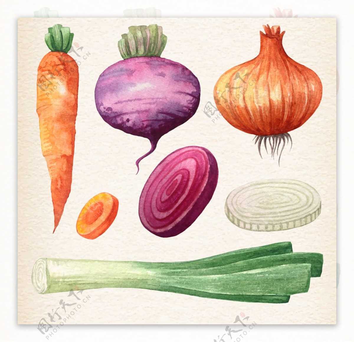 手绘水彩蔬菜