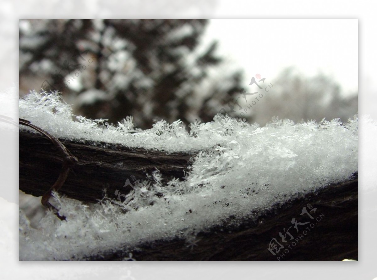 冰雪