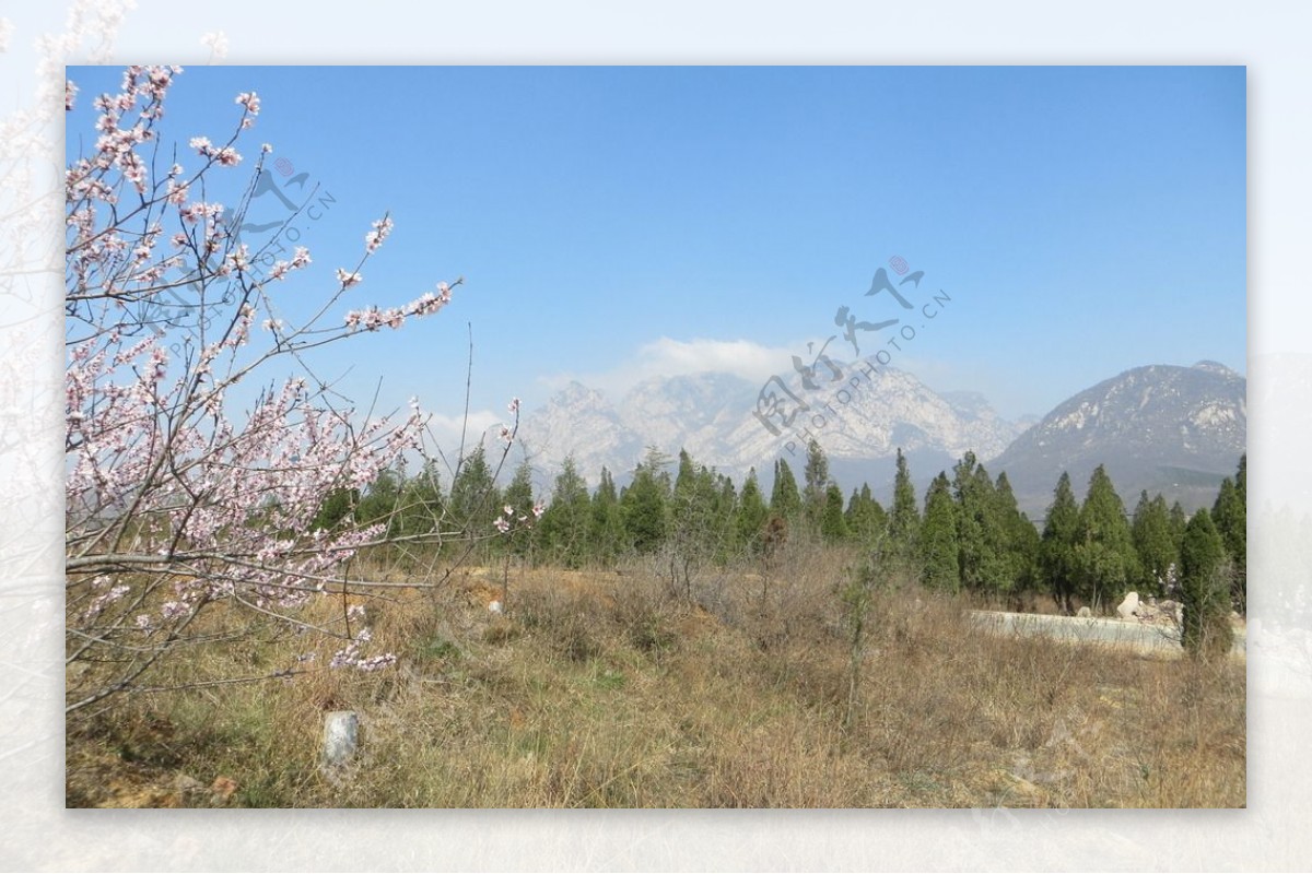 嵩山春季景色