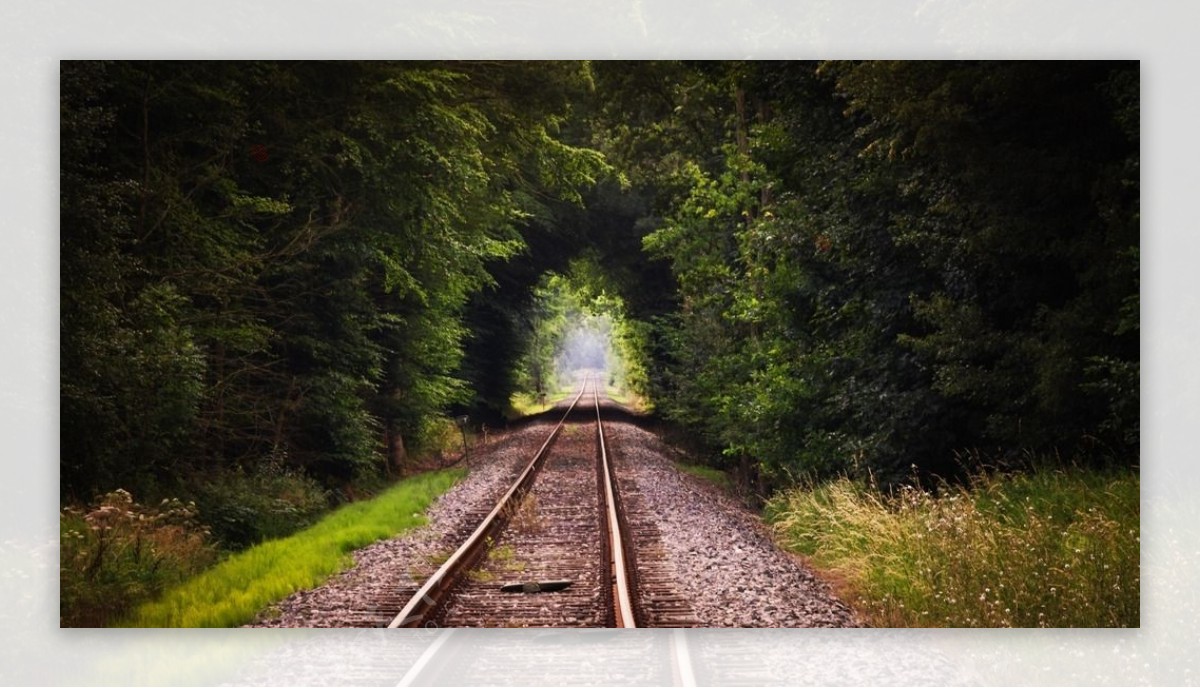 通往森林的铁路