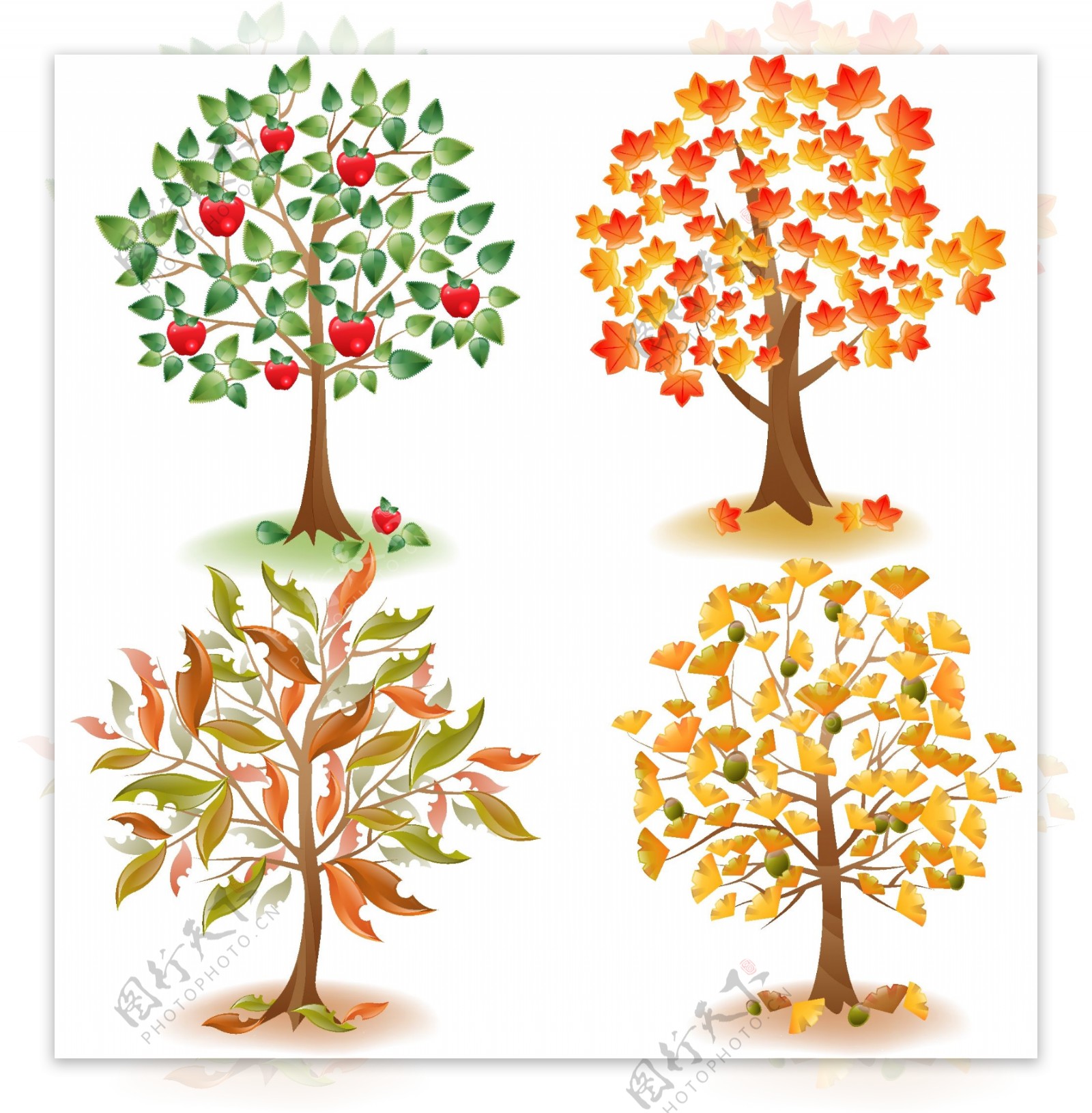 彩色叶子大树插画