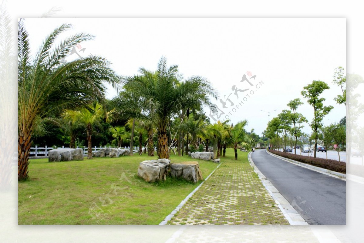 道路山石草地