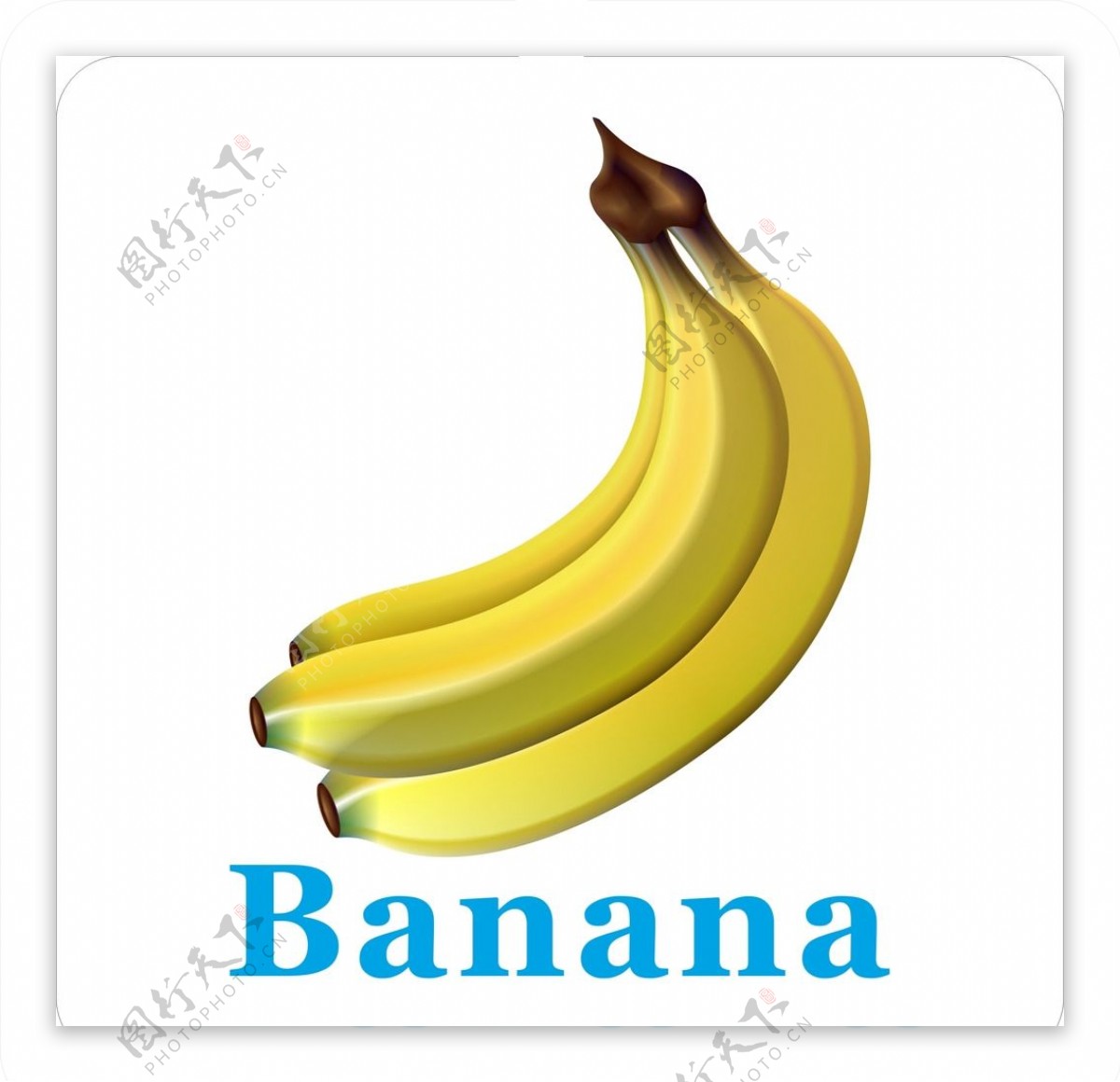 卡通水果香蕉加英文名称