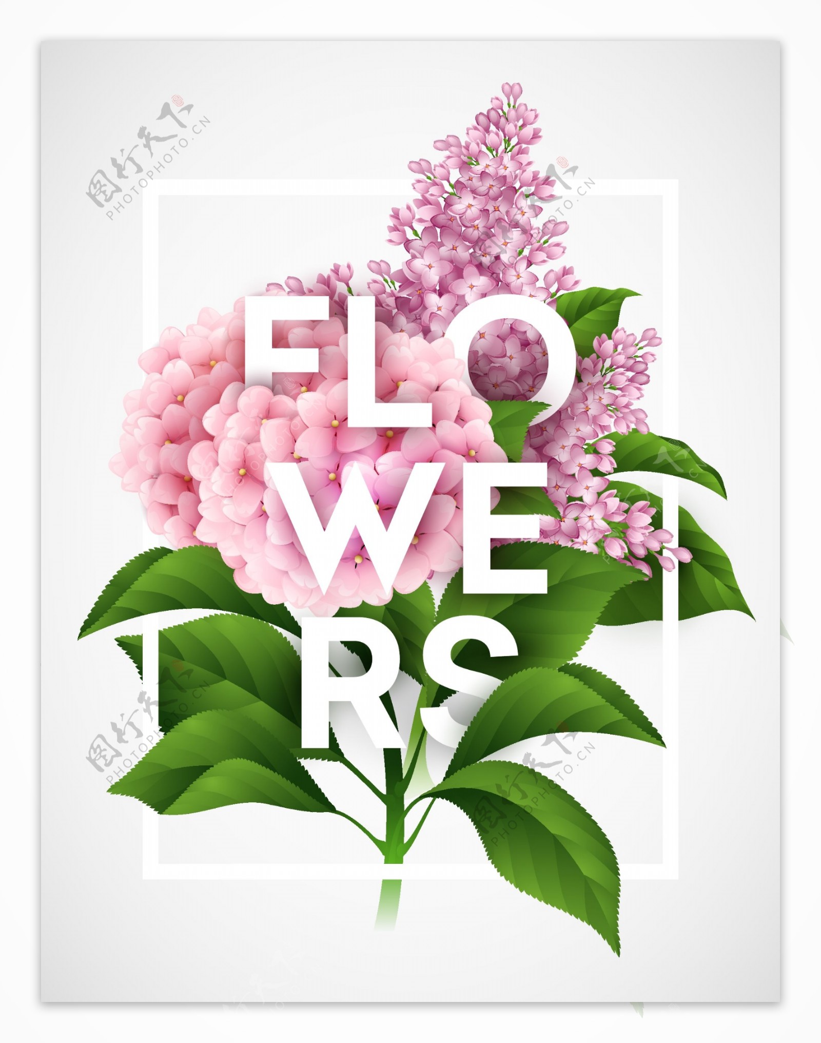 植物花卉字母组合图案