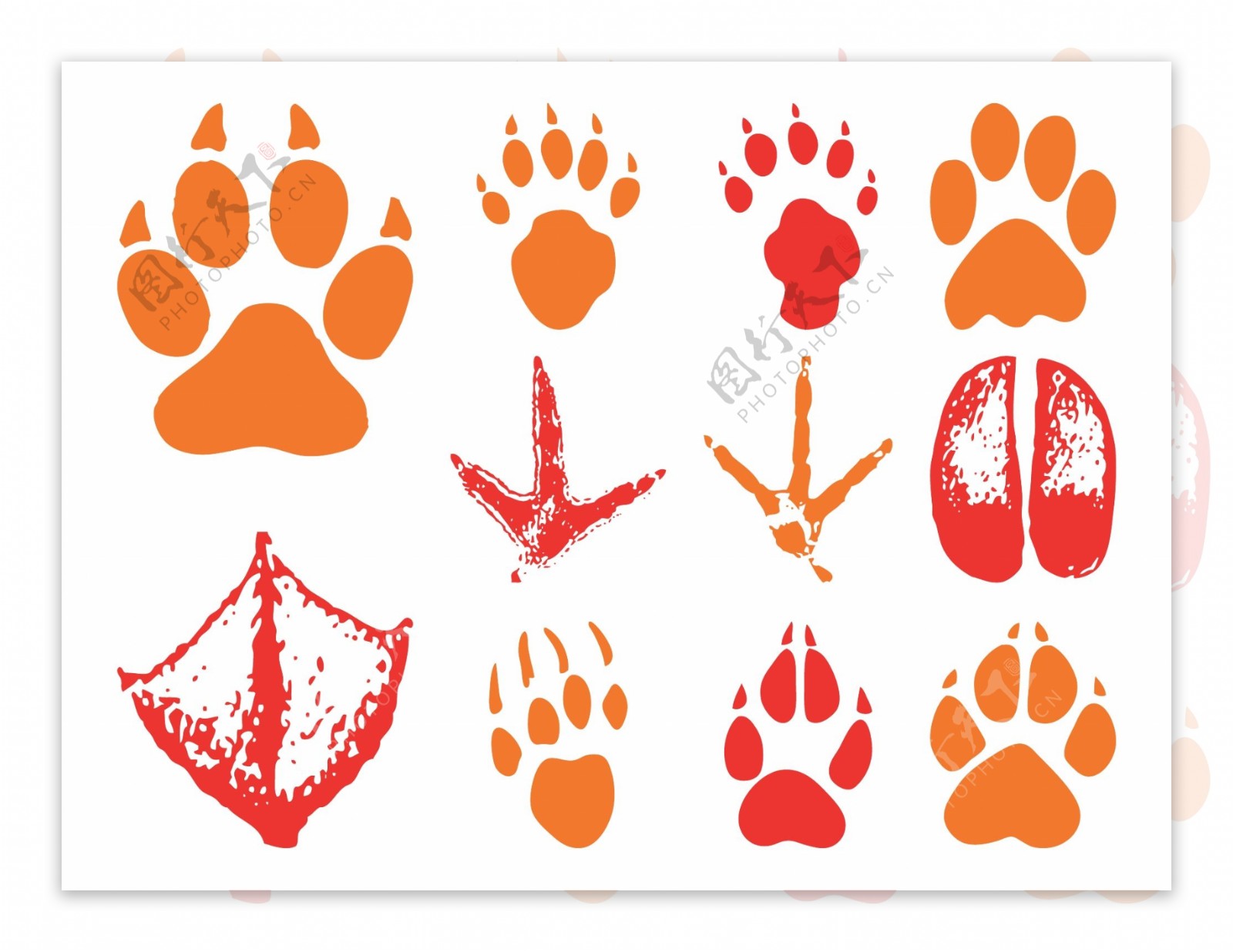Wildlife Animals And Birds Footprint, Animal Paw Prints Vector Set ...