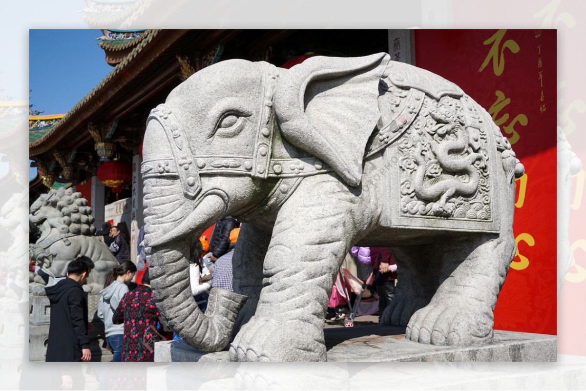 南普陀寺石雕大象