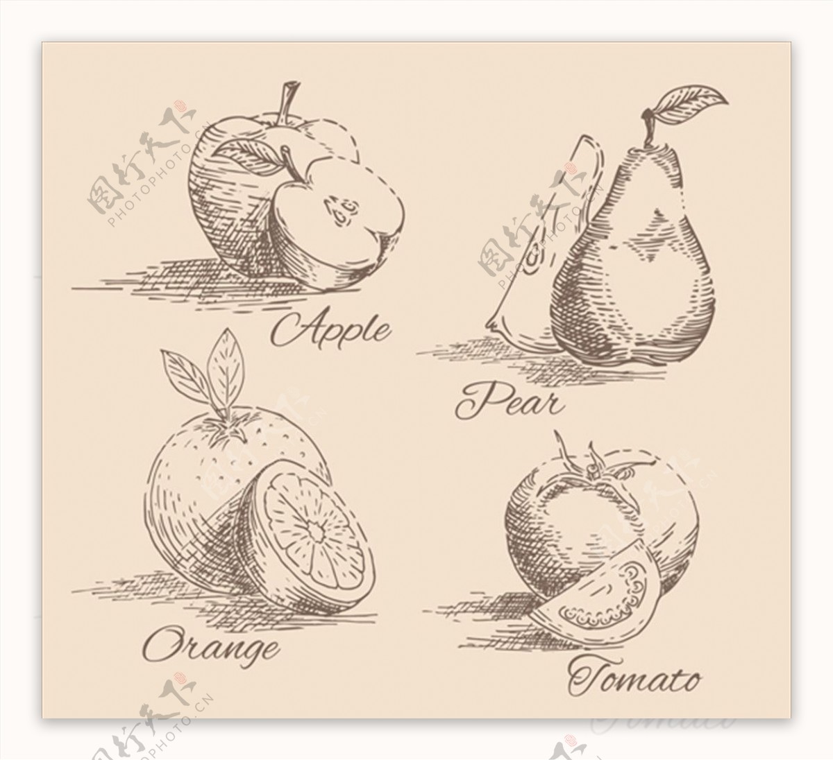手绘素描四种水果