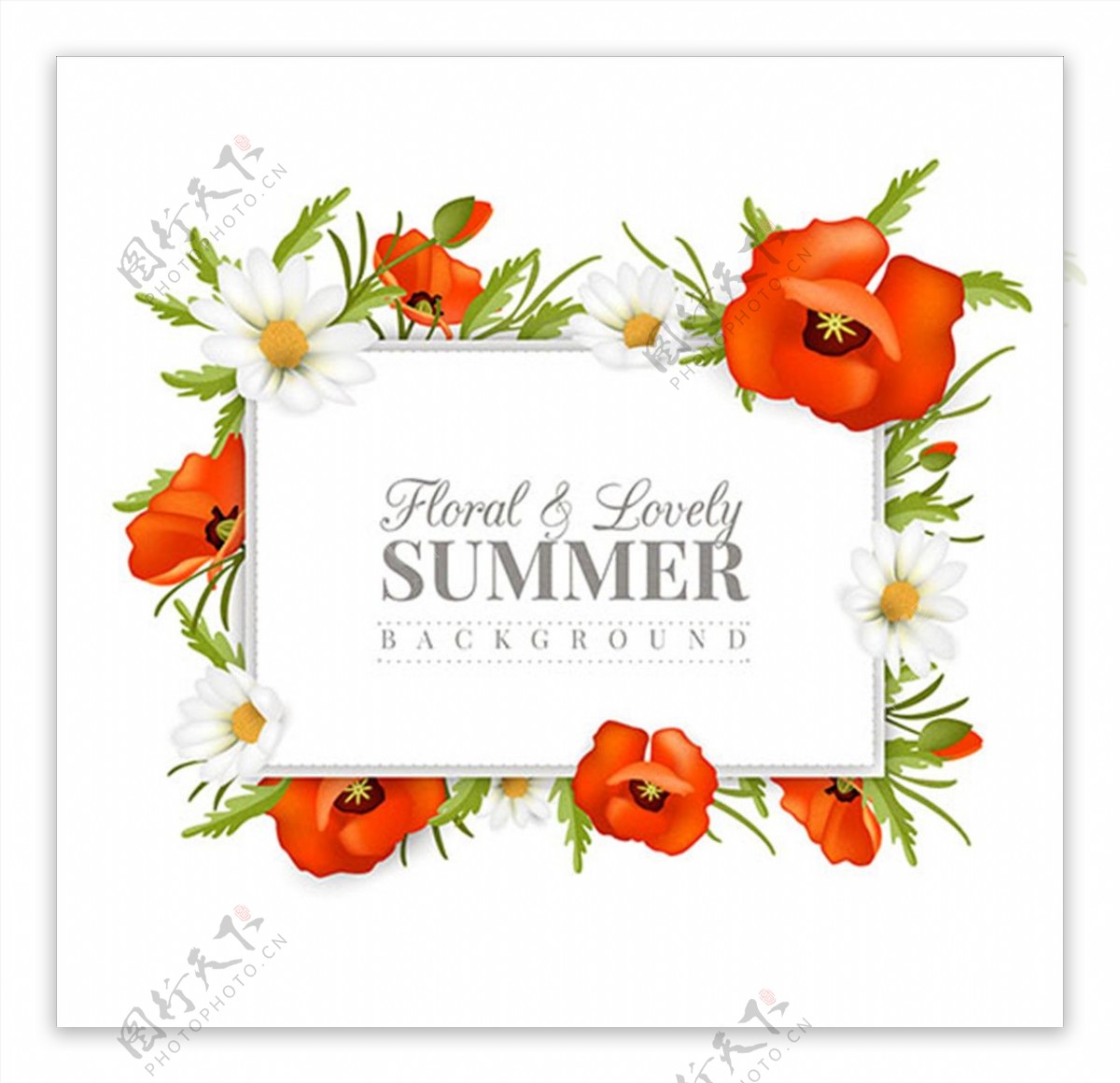 夏季花卉框架海报