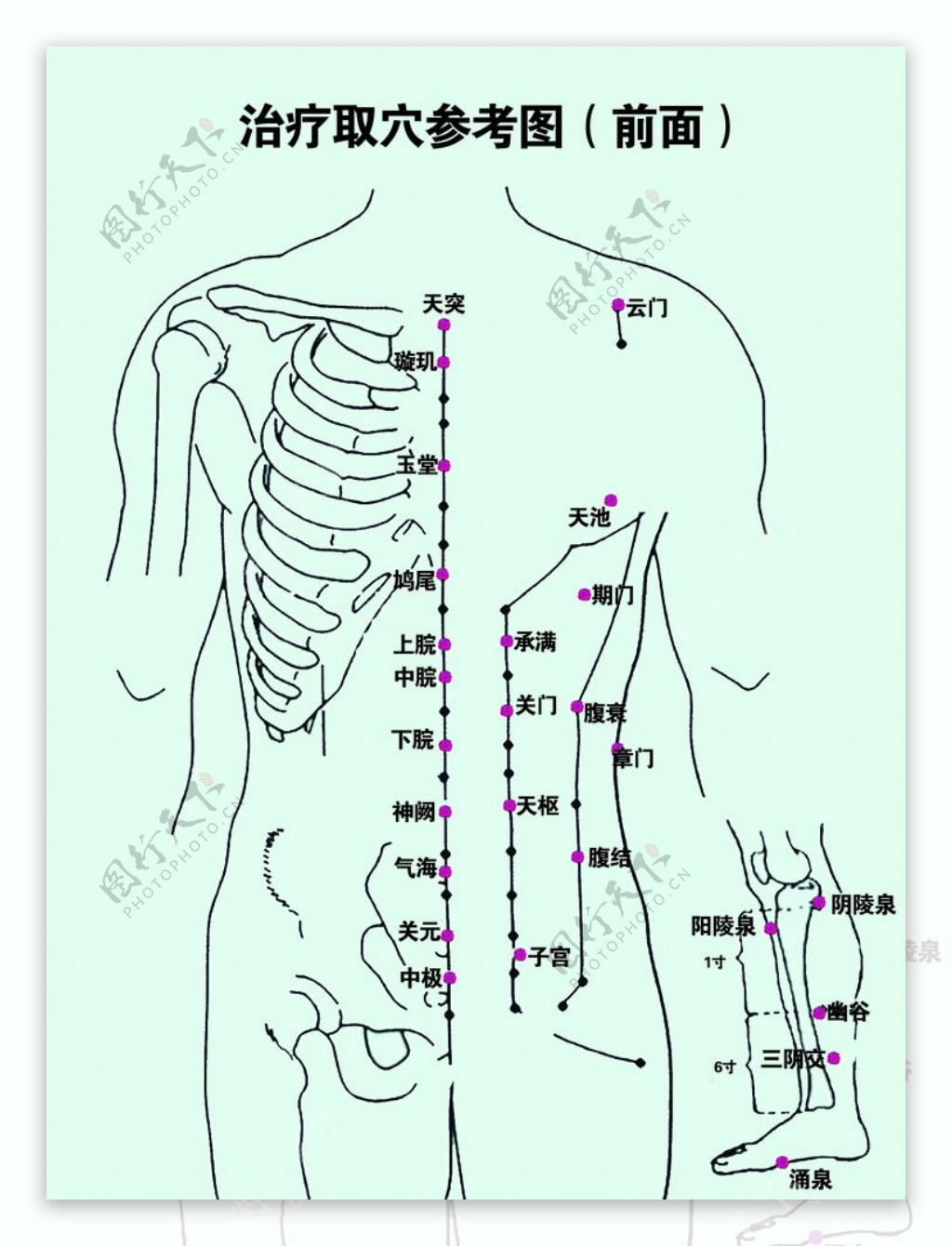 治疗取穴参考图前面背面