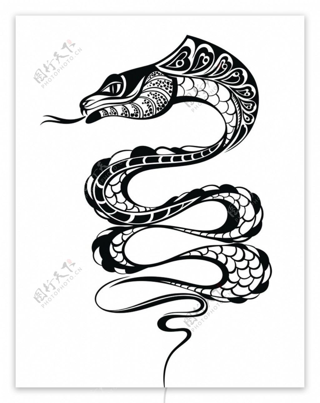 黑白剪影矢量素材图案蛇
