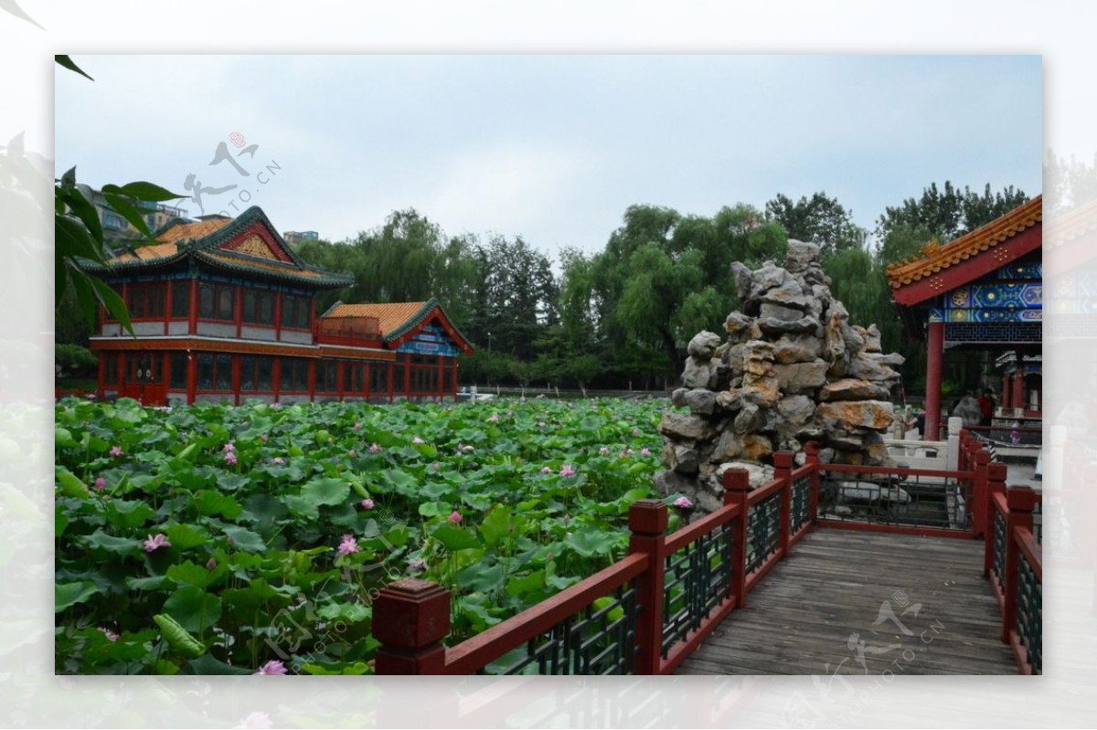 龙潭湖美景