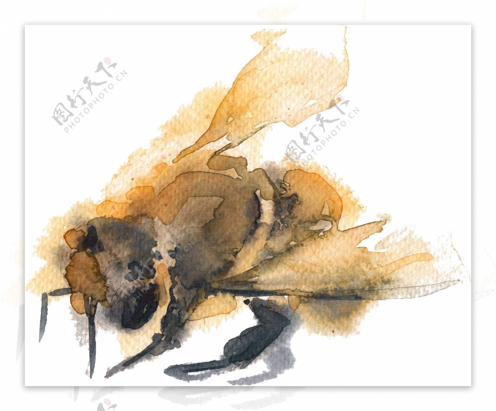 水彩蜜蜂