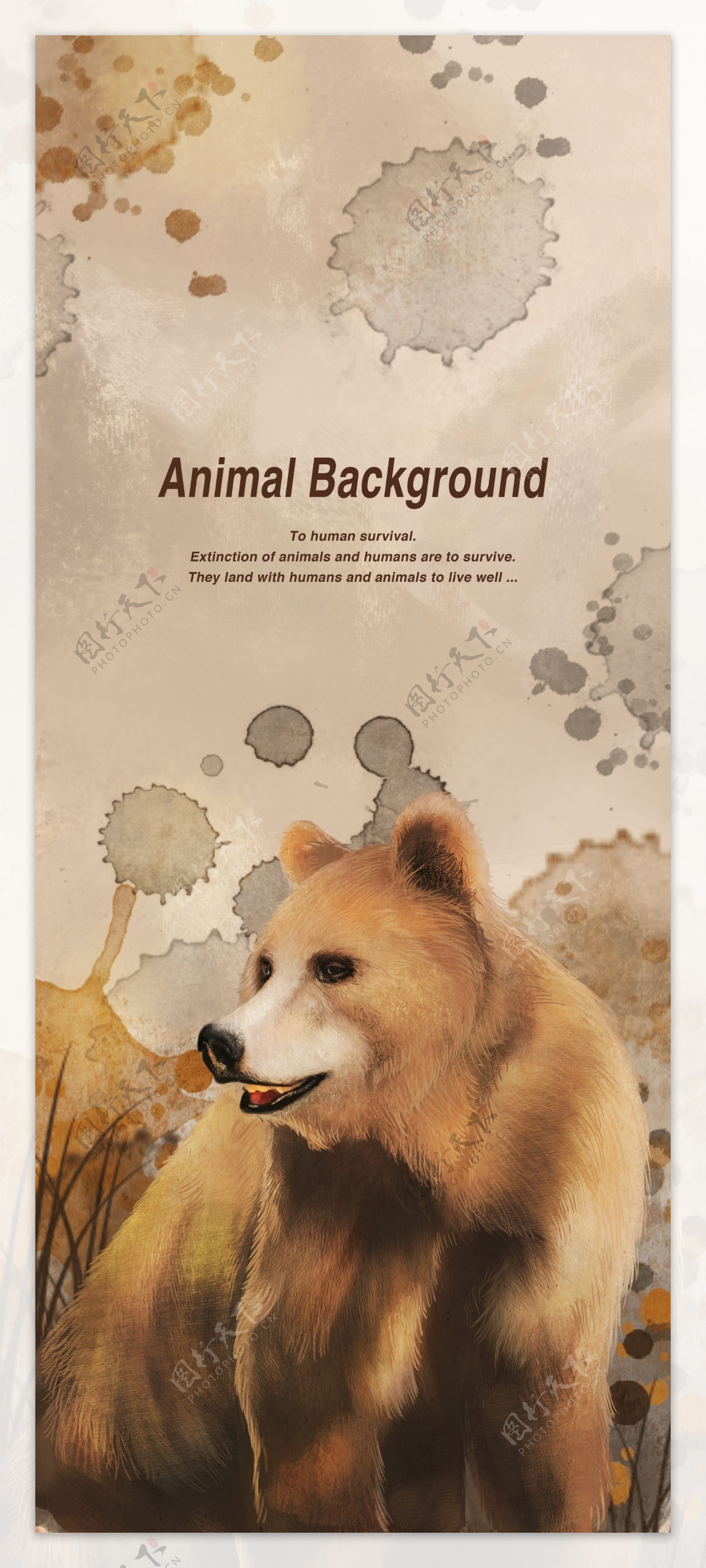 野熊动物海报背景