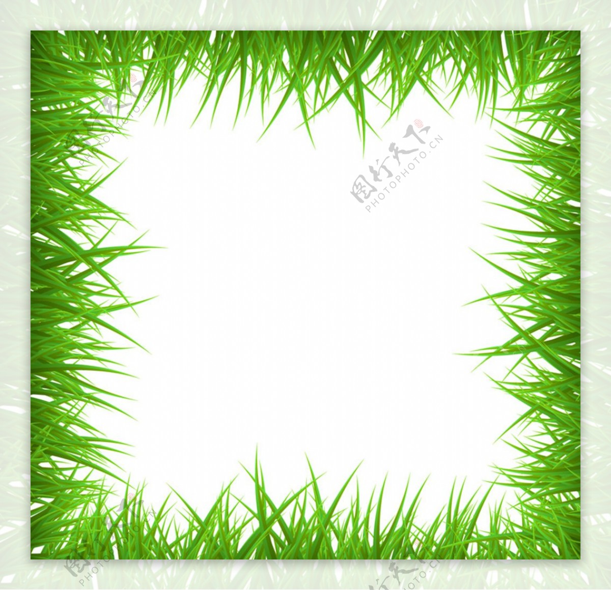 创意绿草框架背景矢量素材