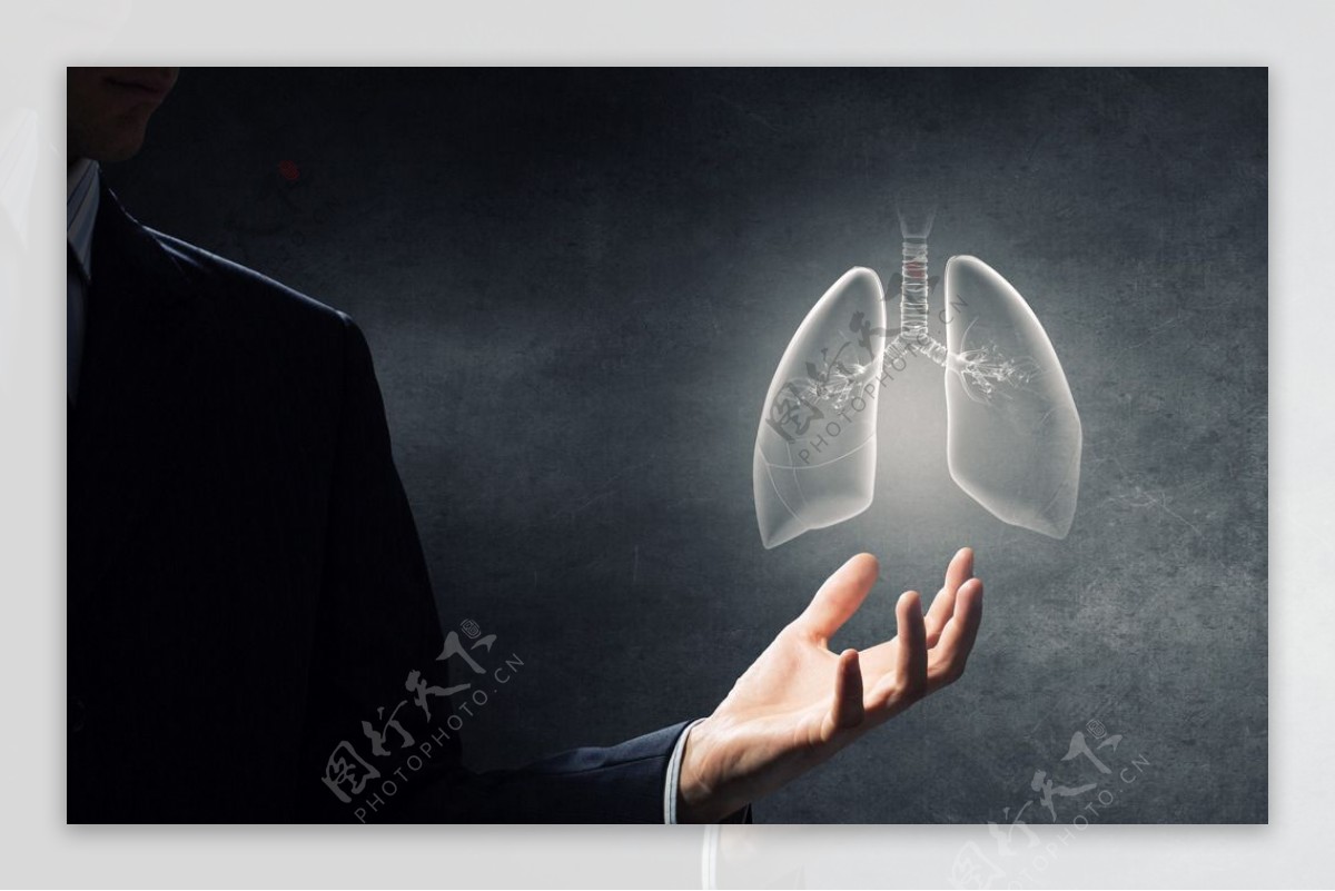 人体肺脏