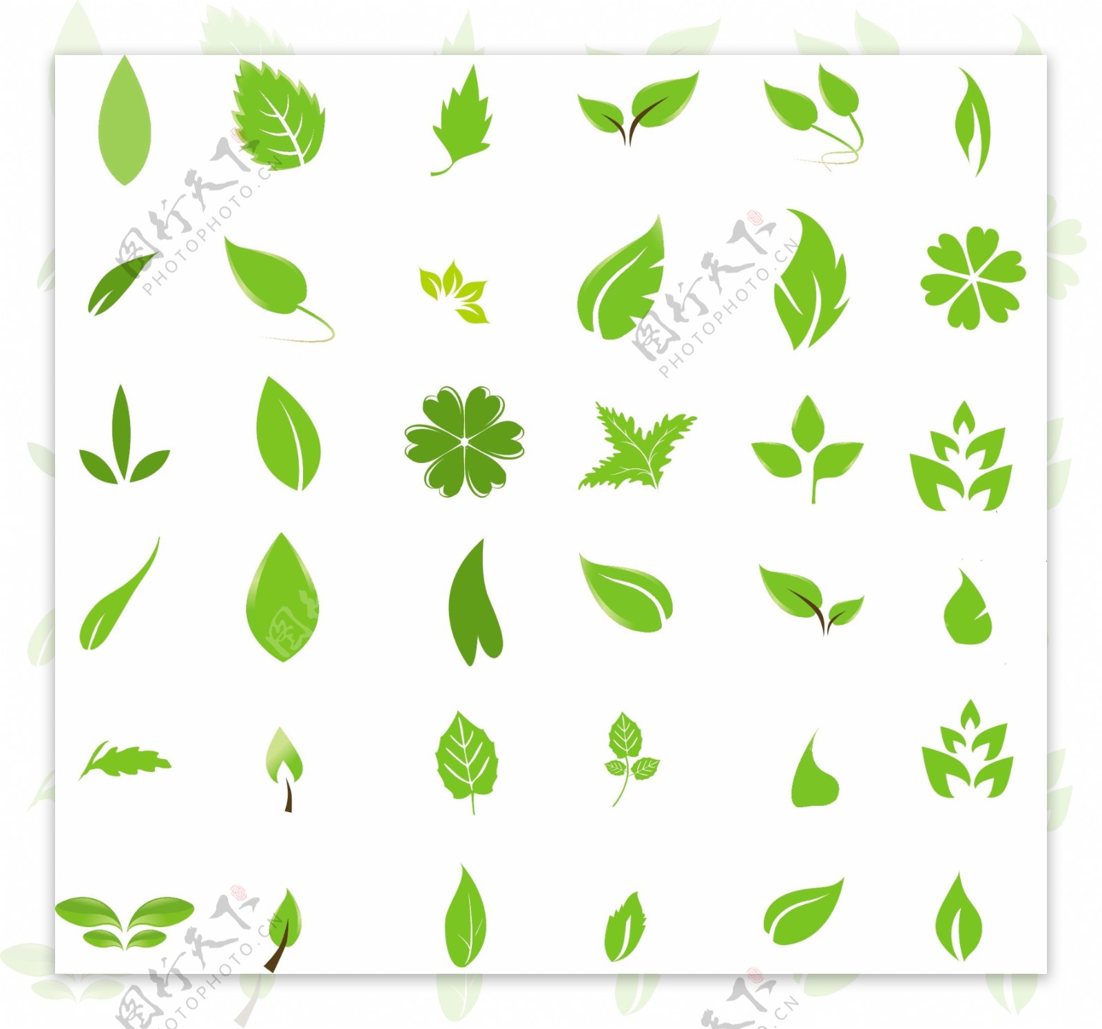 各种漂亮绿色树叶图案