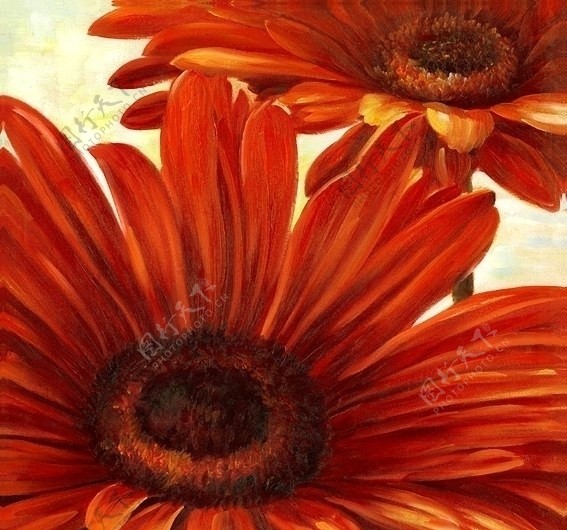 花卉油画551150厘米X50厘米