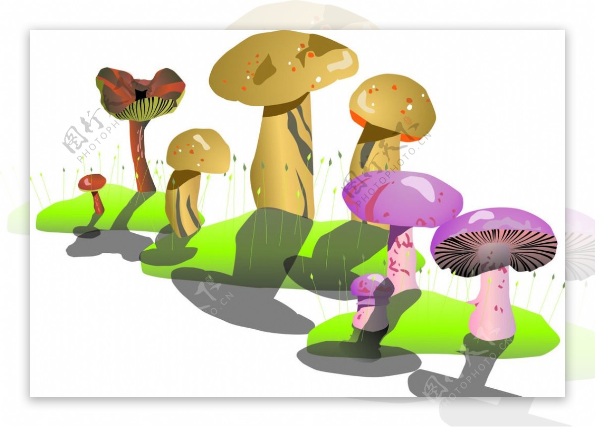 磨菇蘑菇卡通动画矢量图