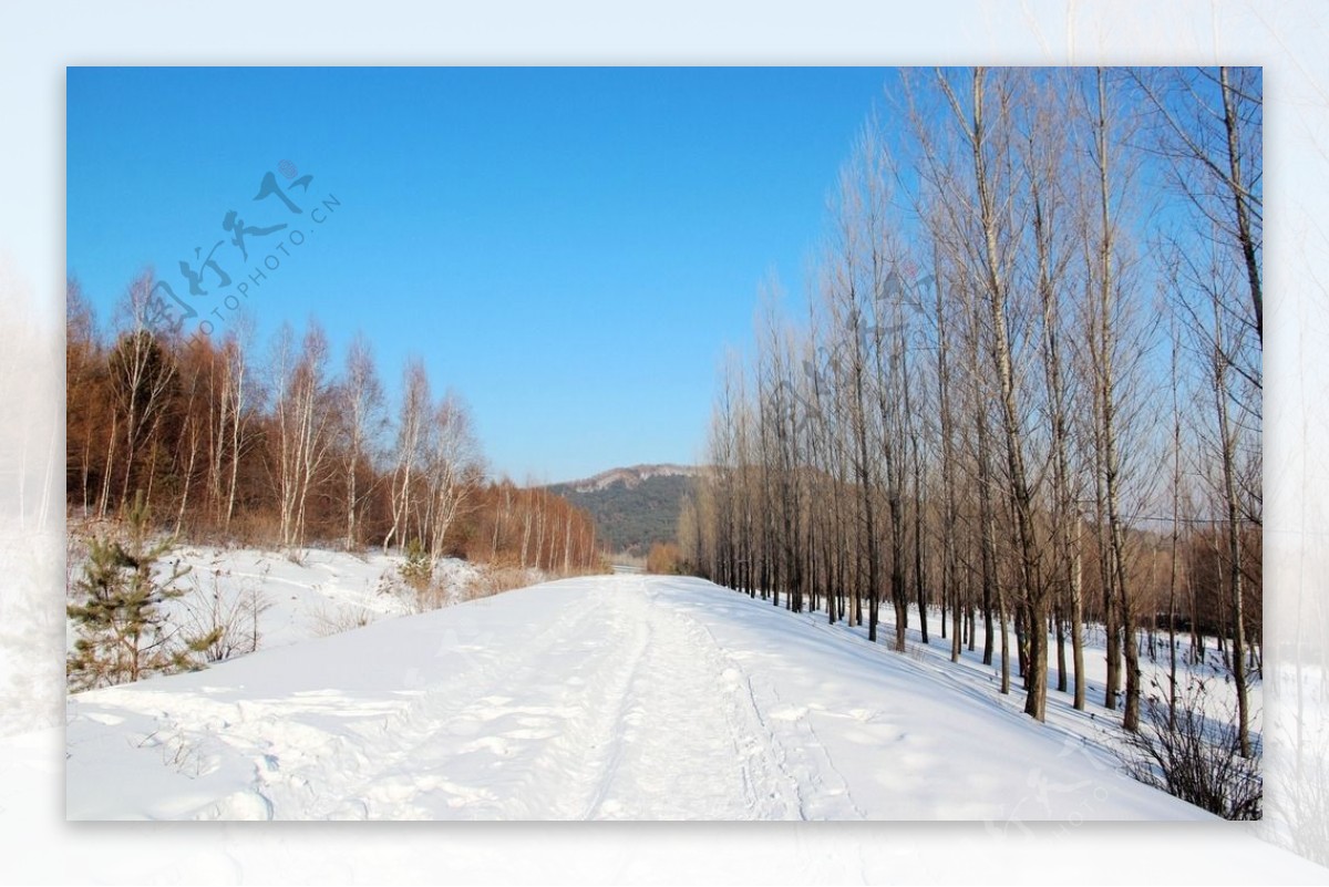 雪景