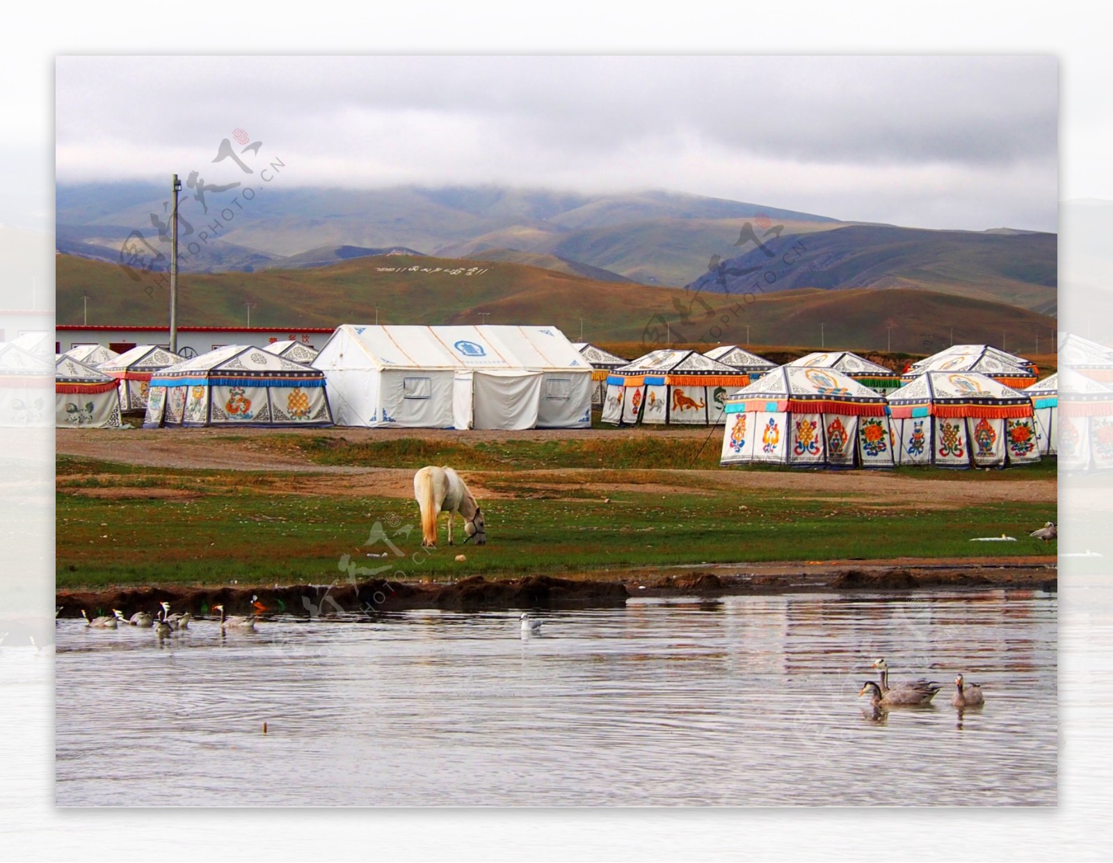 湖边的蒙古牧场