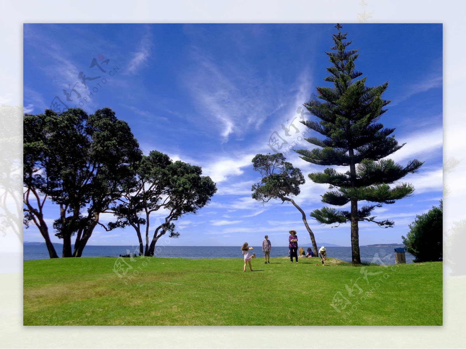 新西兰海滨公园风景