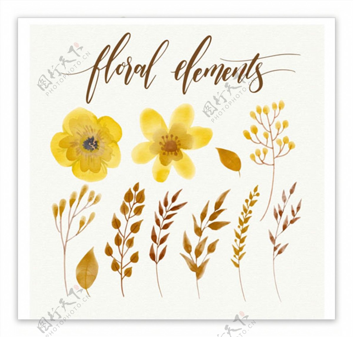 手绘水彩春季黄色花卉集