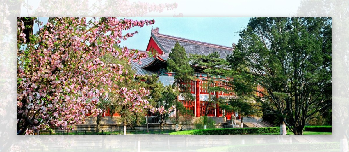 北京大学