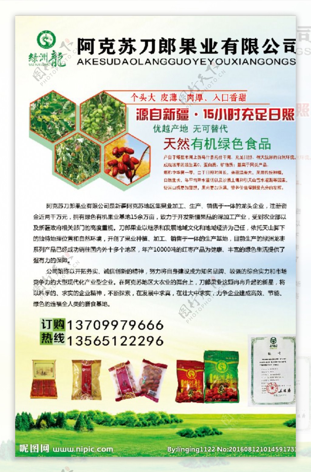 新疆红枣果业宣传页