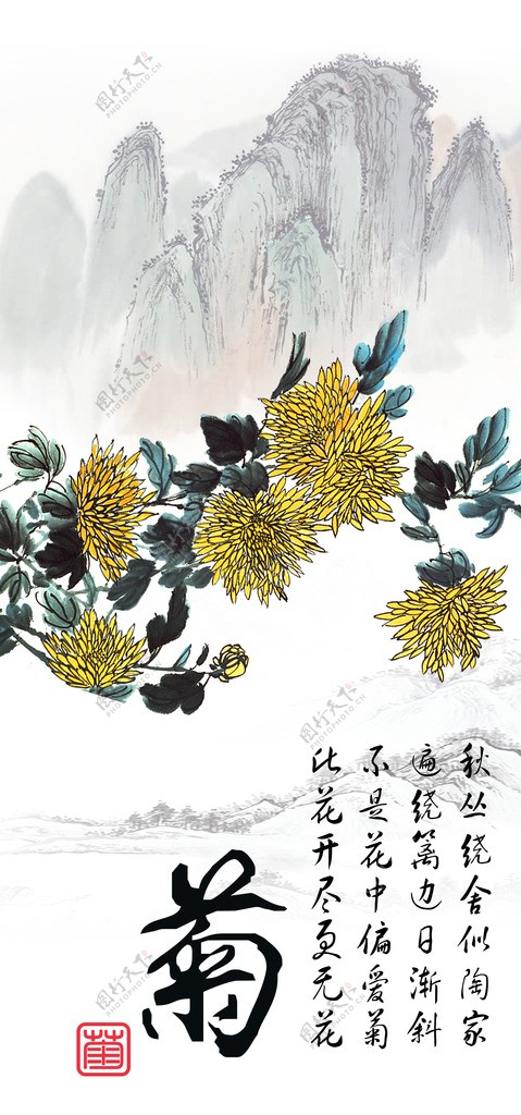 中国风菊花