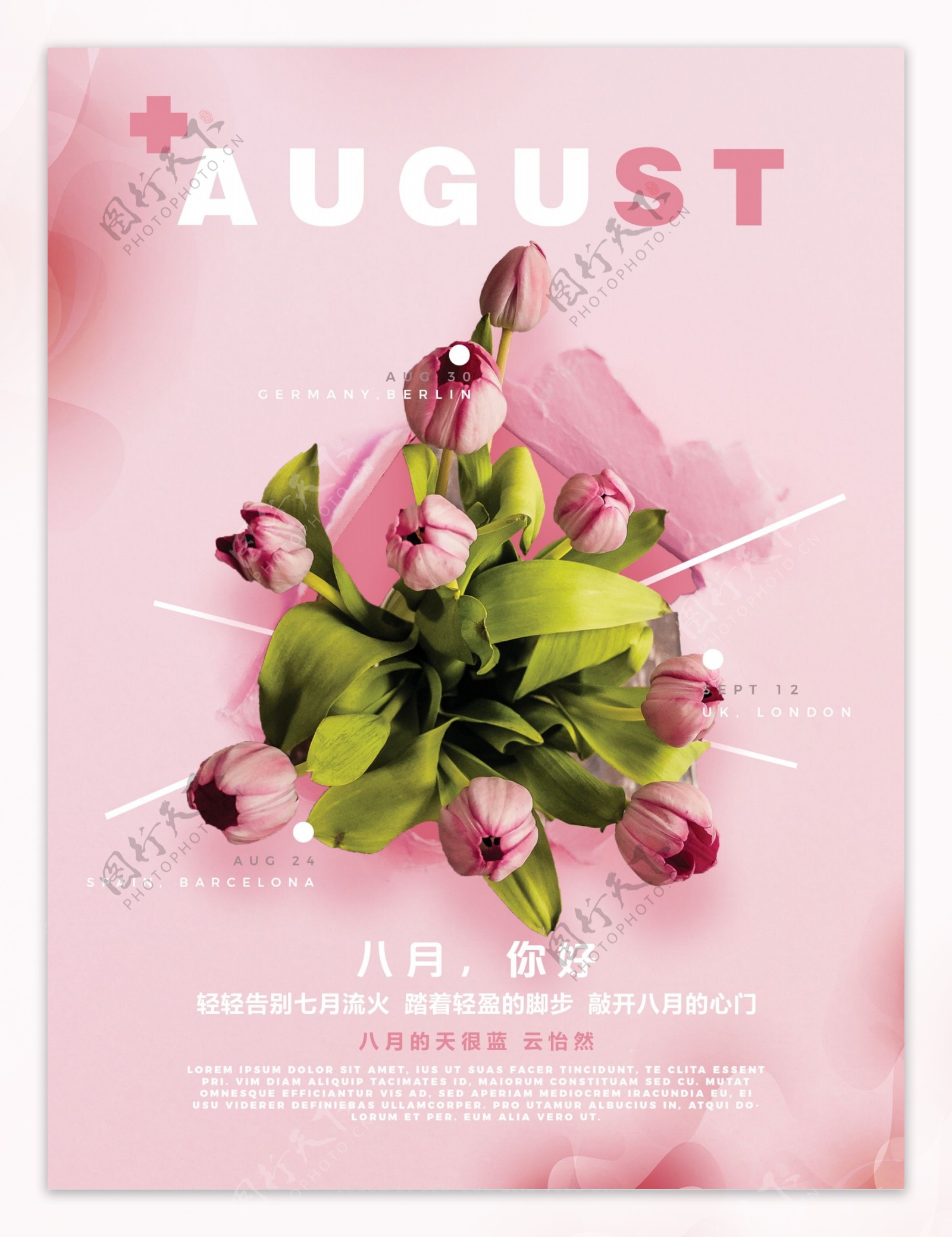 粉色唯美浪漫鲜花八月你好海报