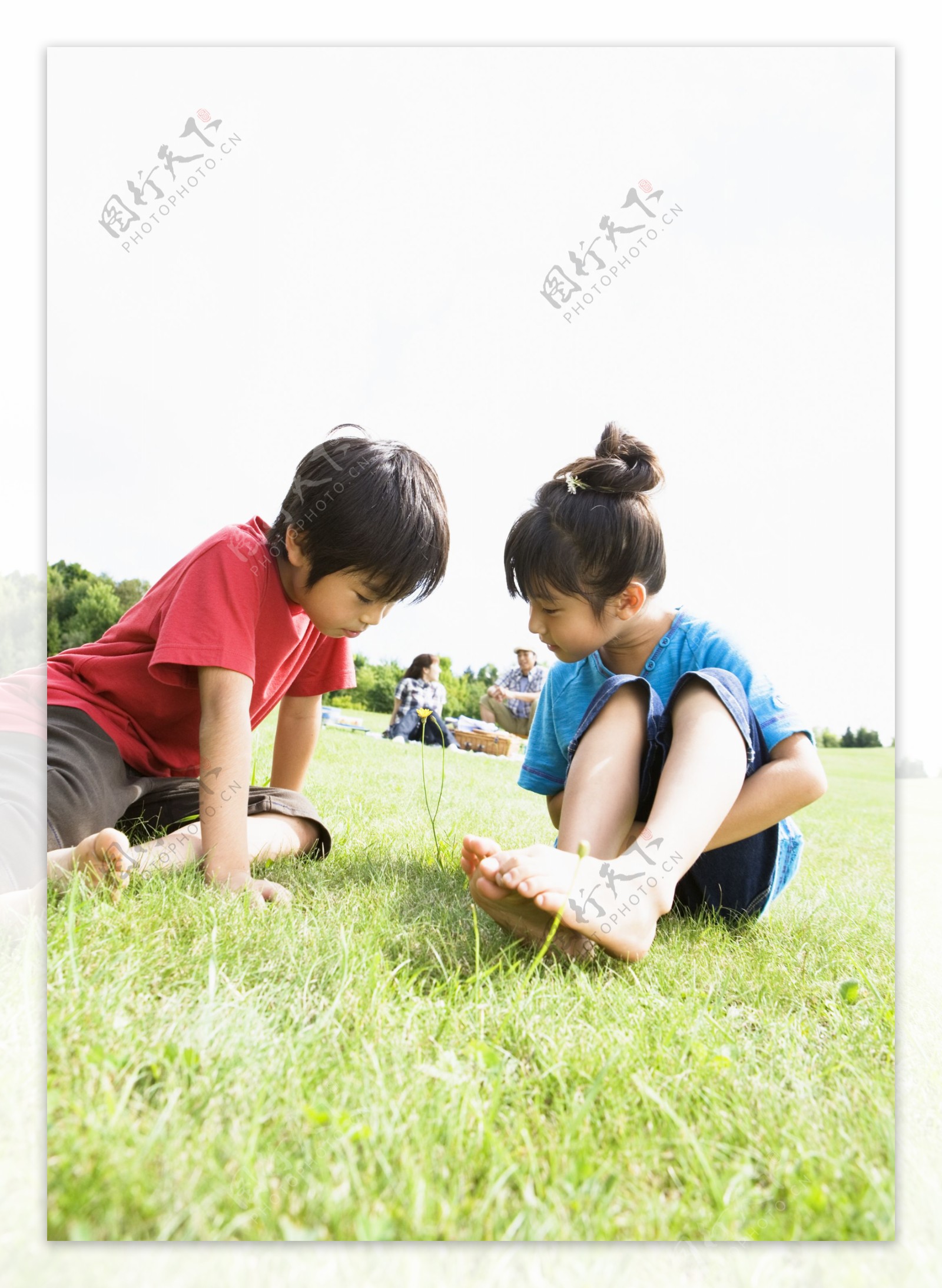 草地上玩耍的可爱男孩女孩图片