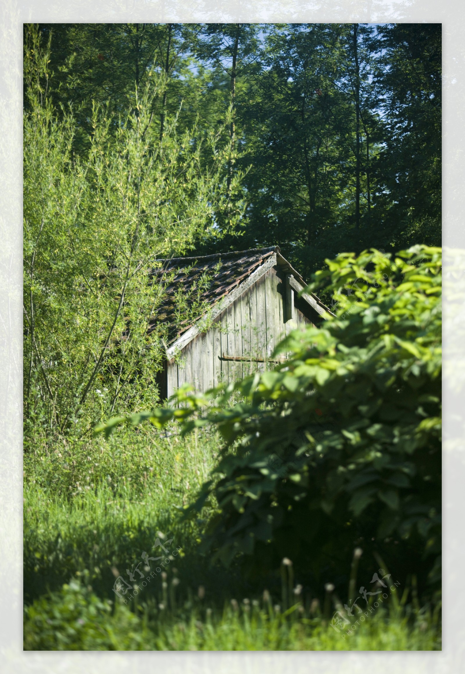 林间小屋图片