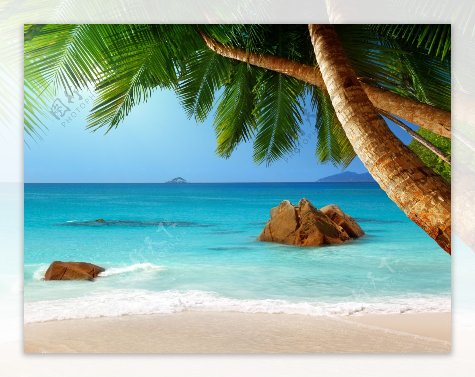 美丽海滩风景与椰树图片