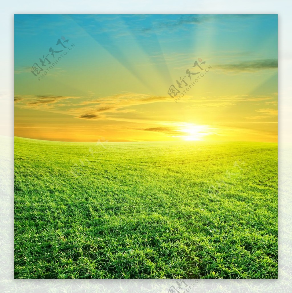 绿草地阳光风景图片图片