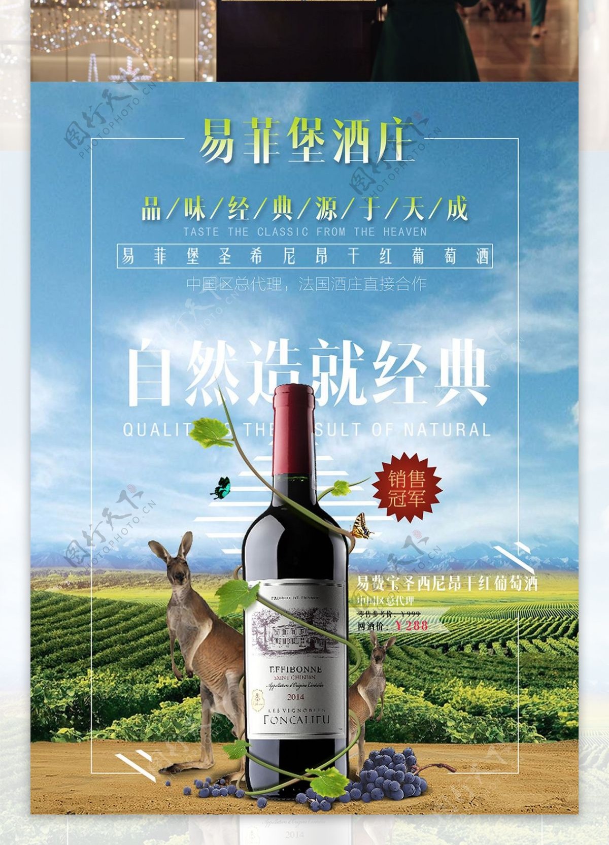 酒庄红酒促销宣传澳大利亚袋鼠红酒海报