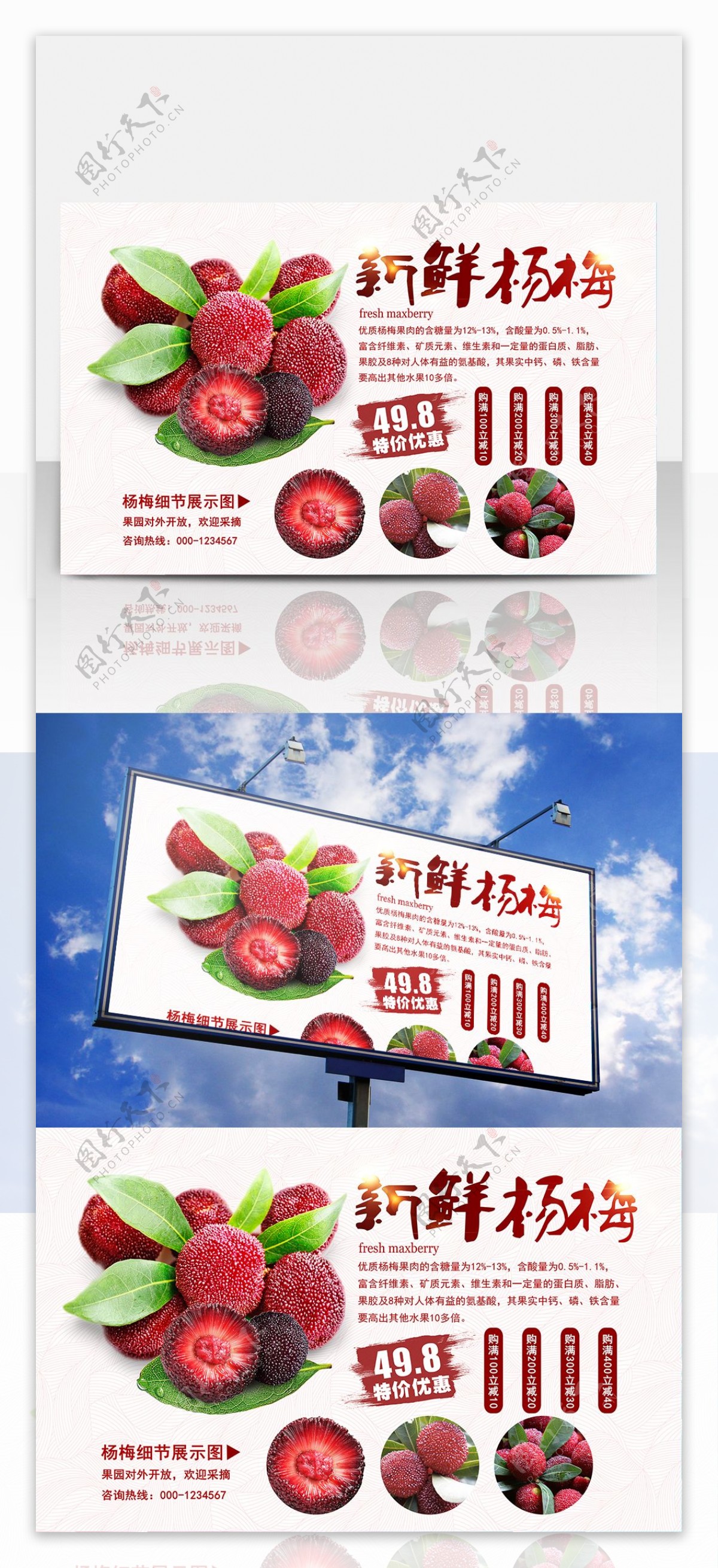 夏季新鲜水果杨梅水果店海报设计