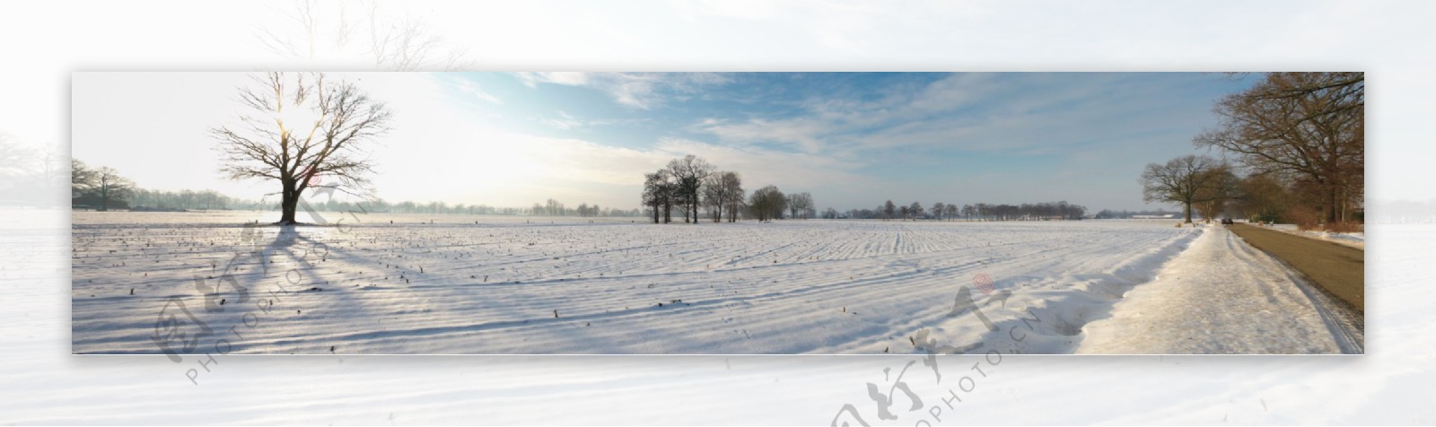 宽幅冬季雪景图片