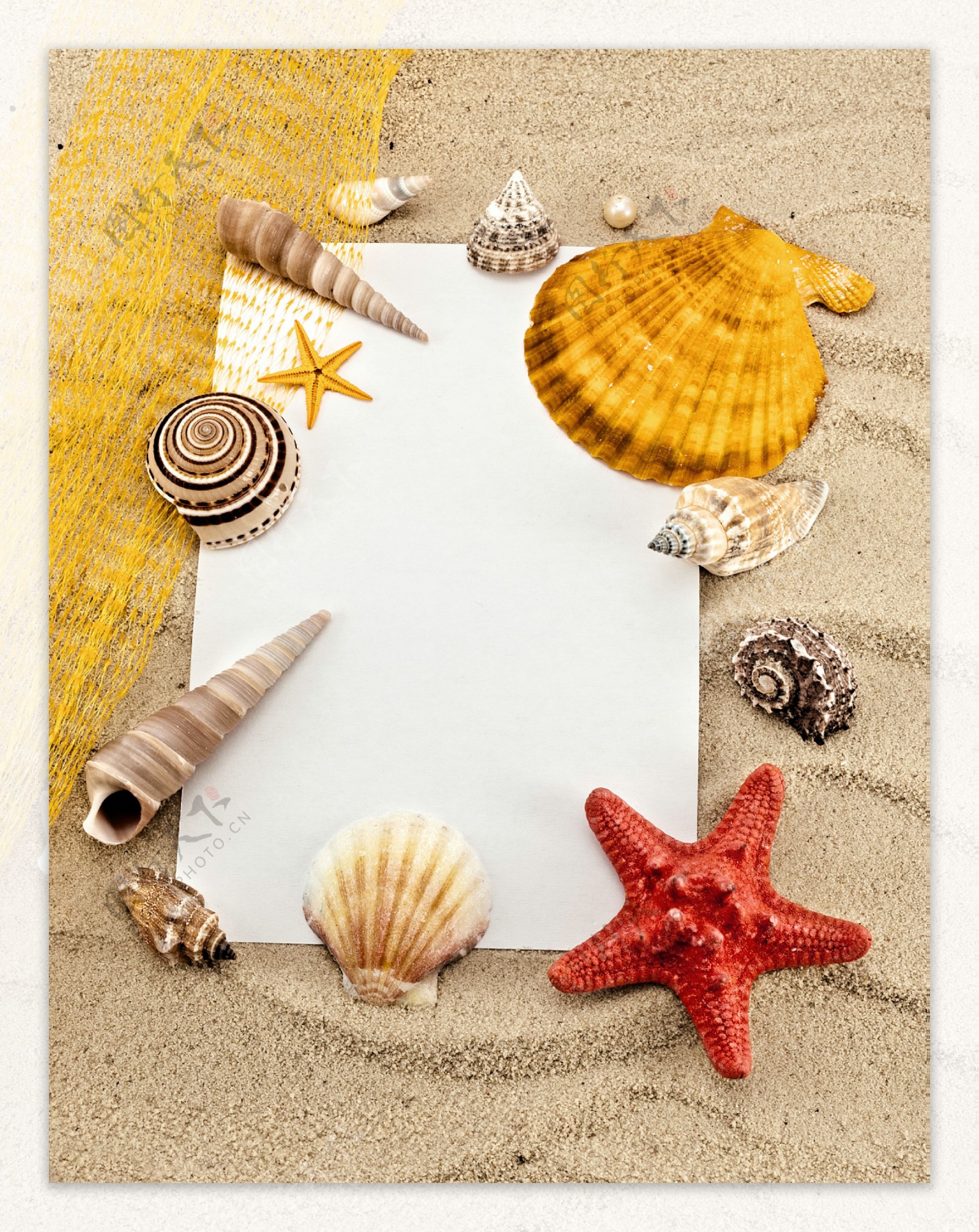 海洋沙滩贝壳写真画 创意工艺品|手工艺|工艺品设计|JJ夏 - 原创作品 - 站酷 (ZCOOL)