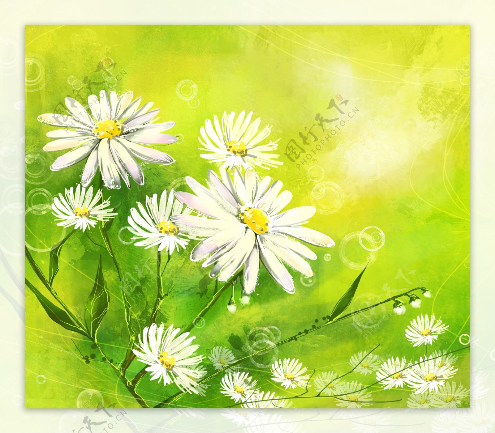 绿色韩国花朵背景