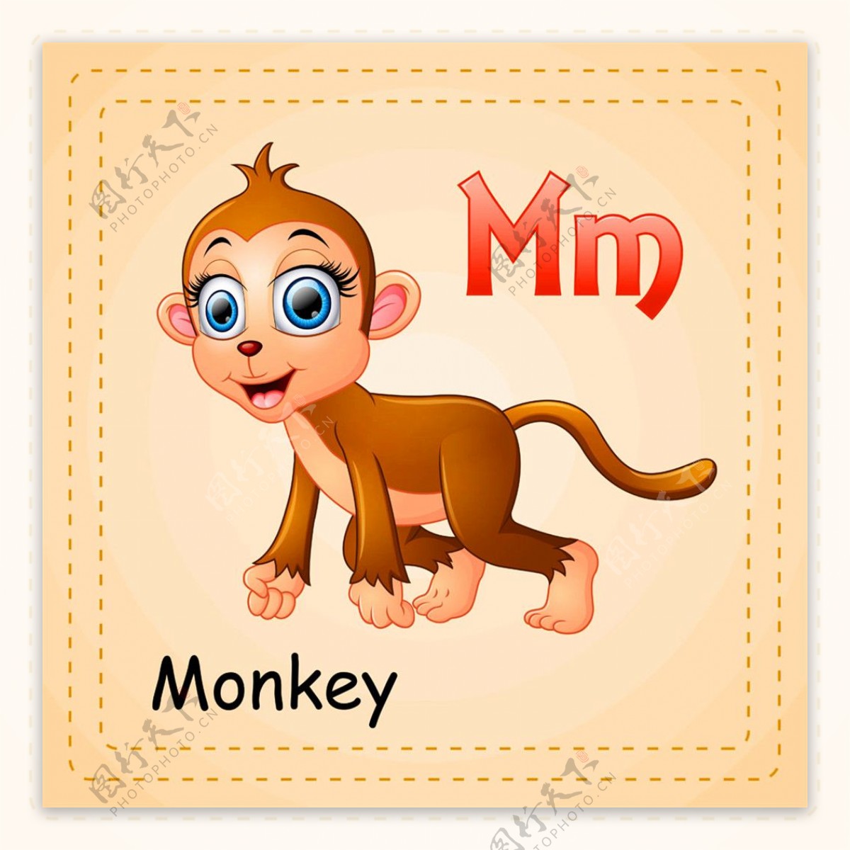 小猴子英文单词图片