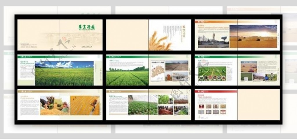 农业产品宣传画册设计矢量素材