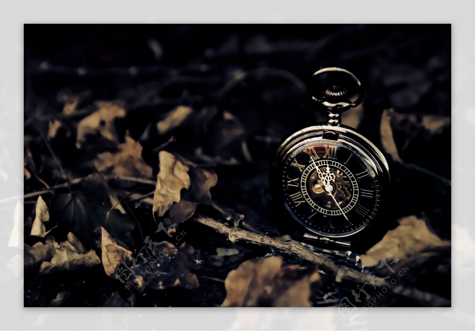 落叶里的时钟图片