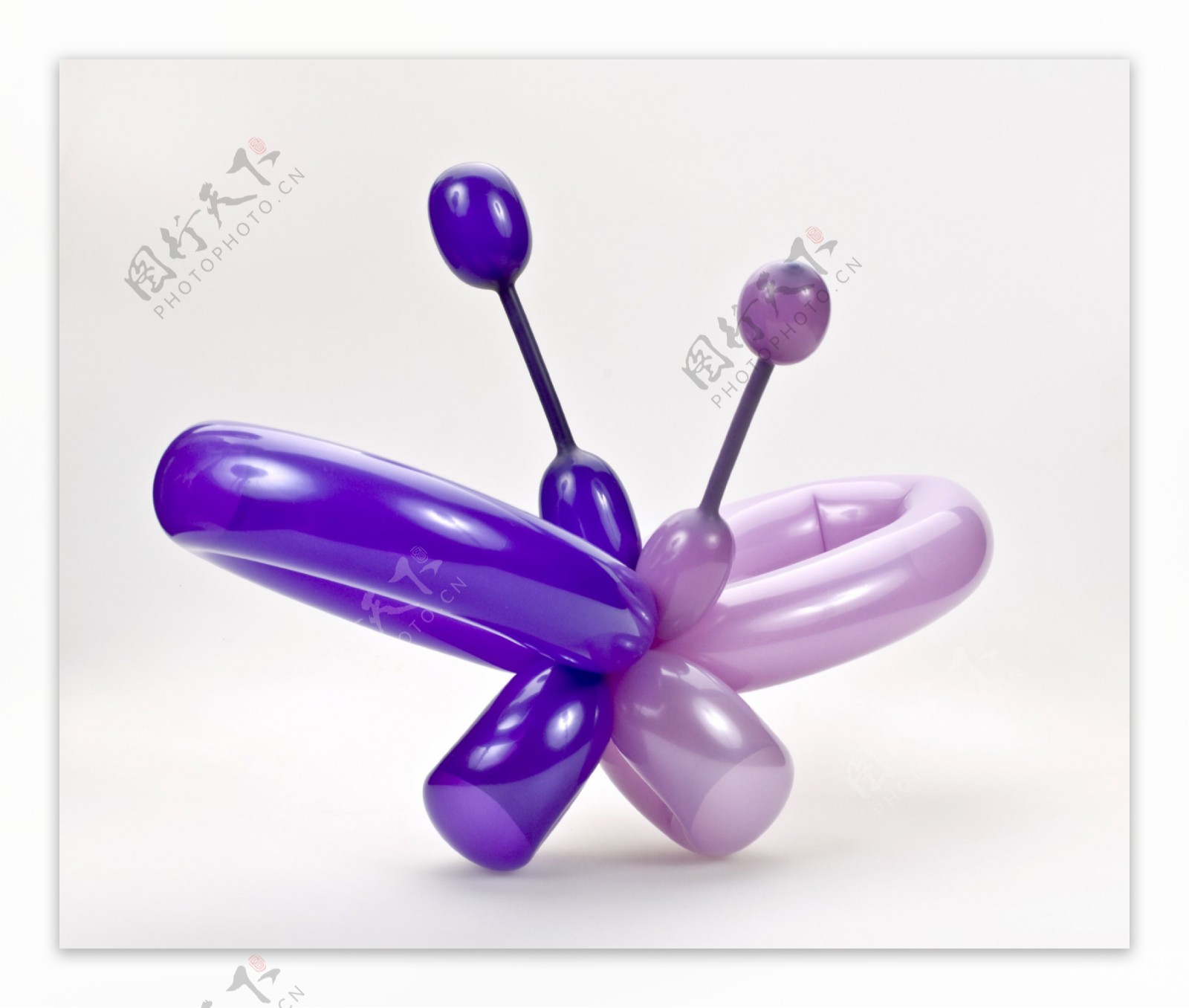 紫色气球蝴蝶图片