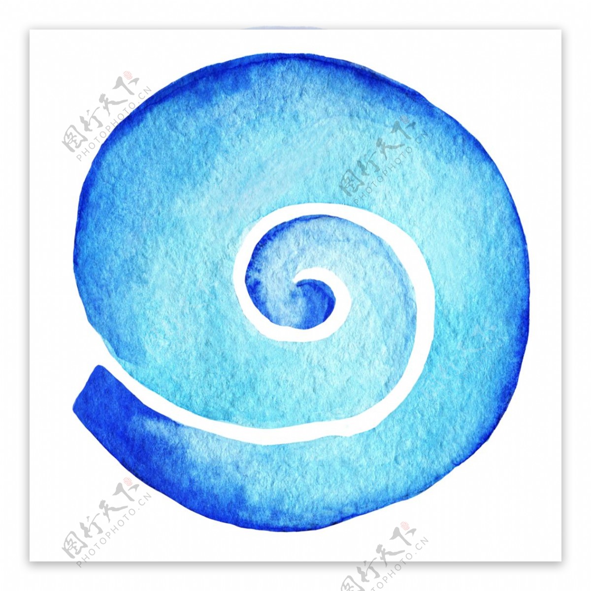 靓丽荧光蓝海螺图片素材