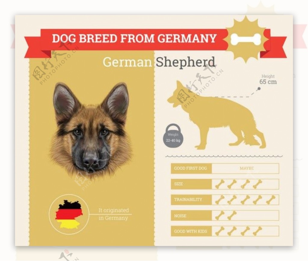 德国牧羊犬漫画图片