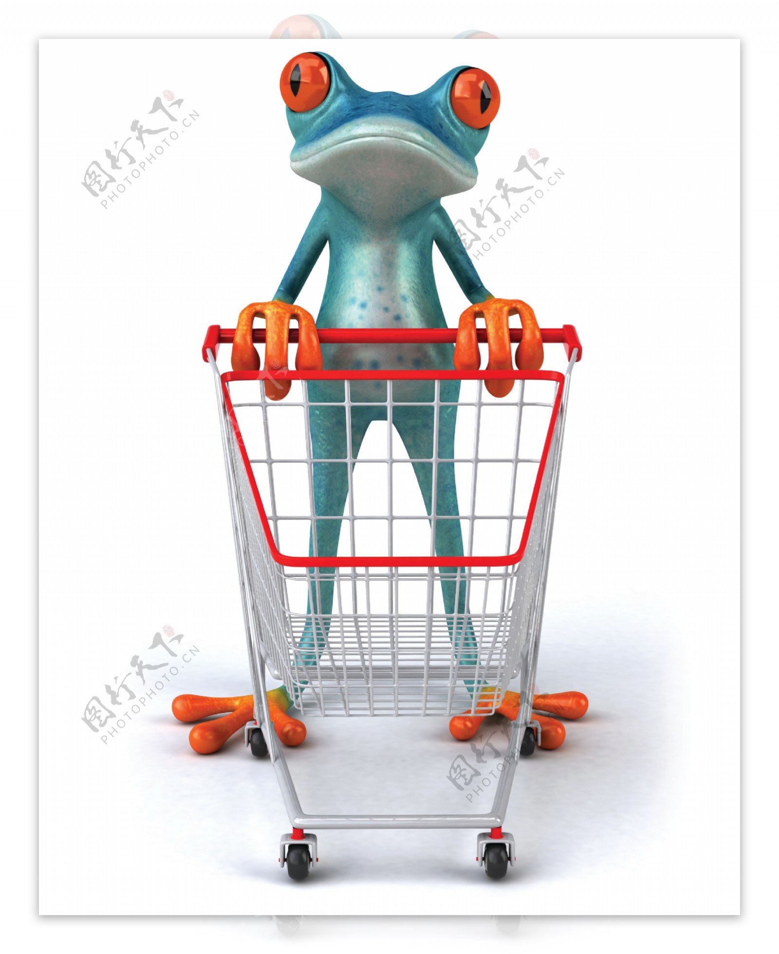 购物的青蛙图片