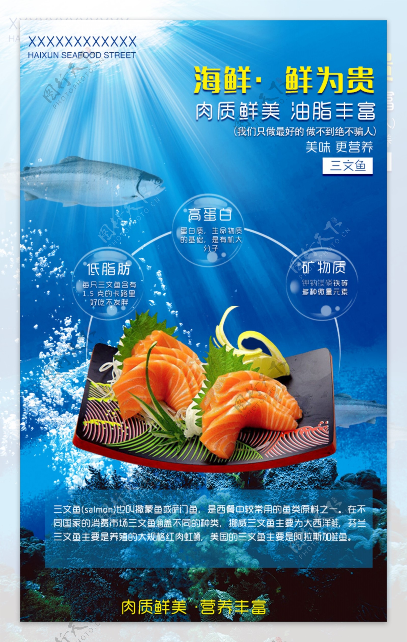 海鲜三文鱼海报