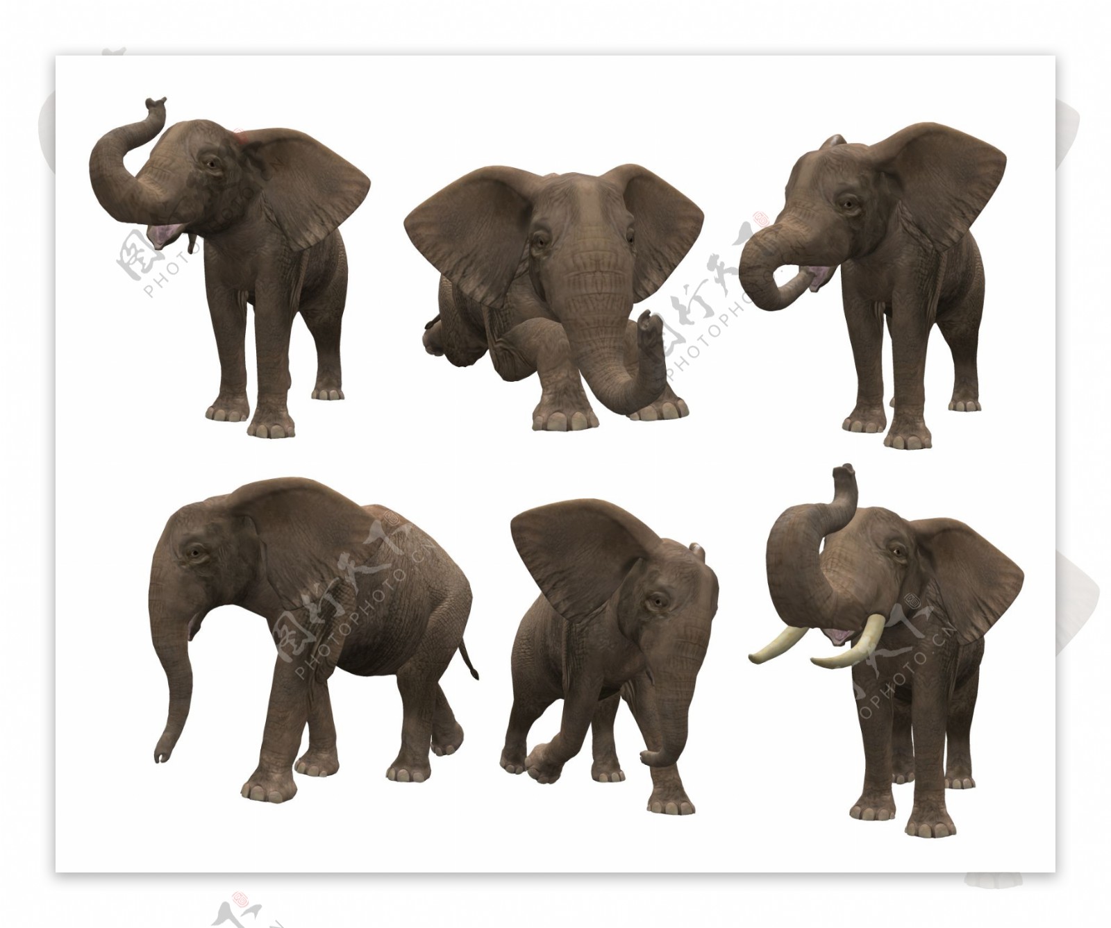 6只不同姿态大象免抠png透明图层素材