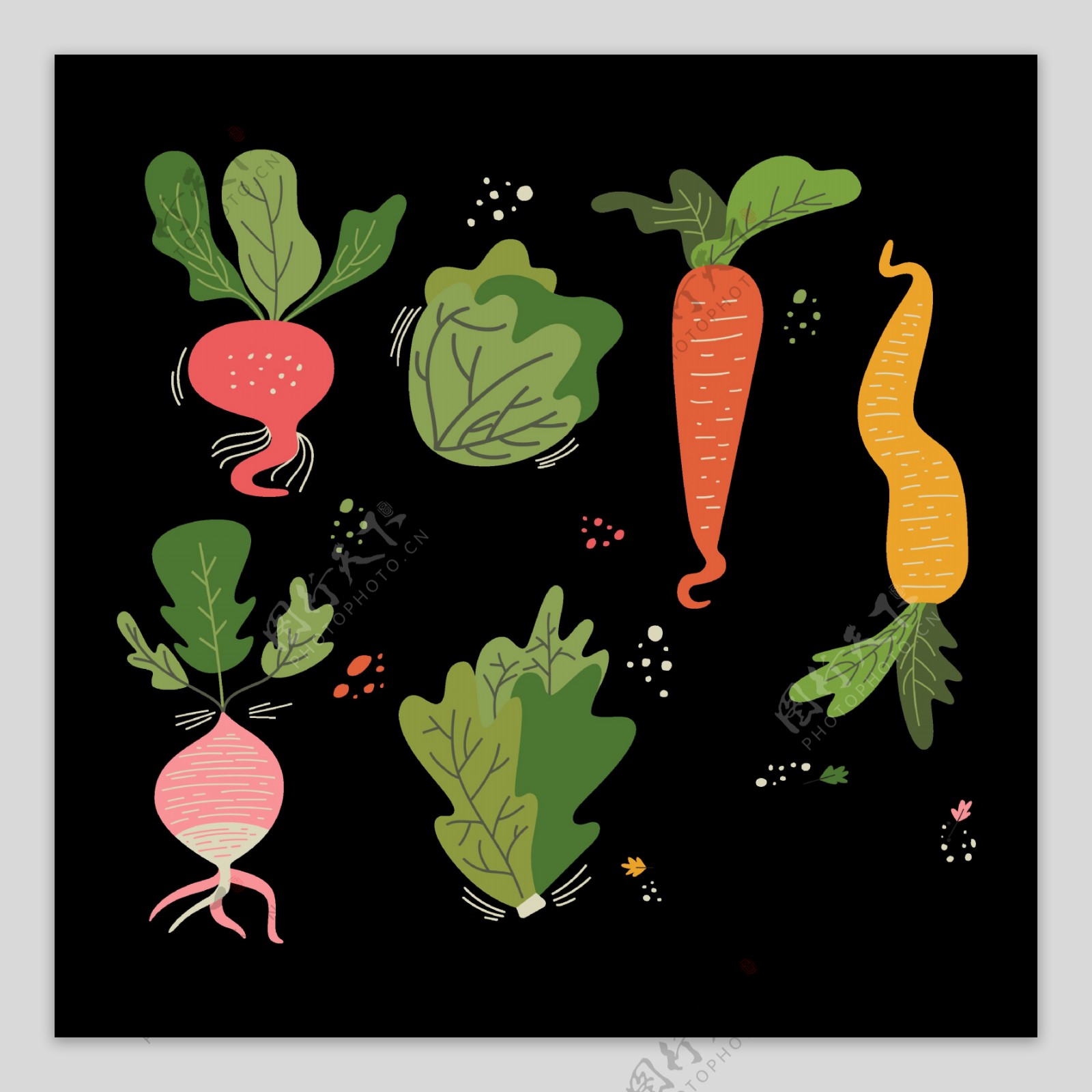 萝卜甜菜蔬菜免抠png透明图层素材