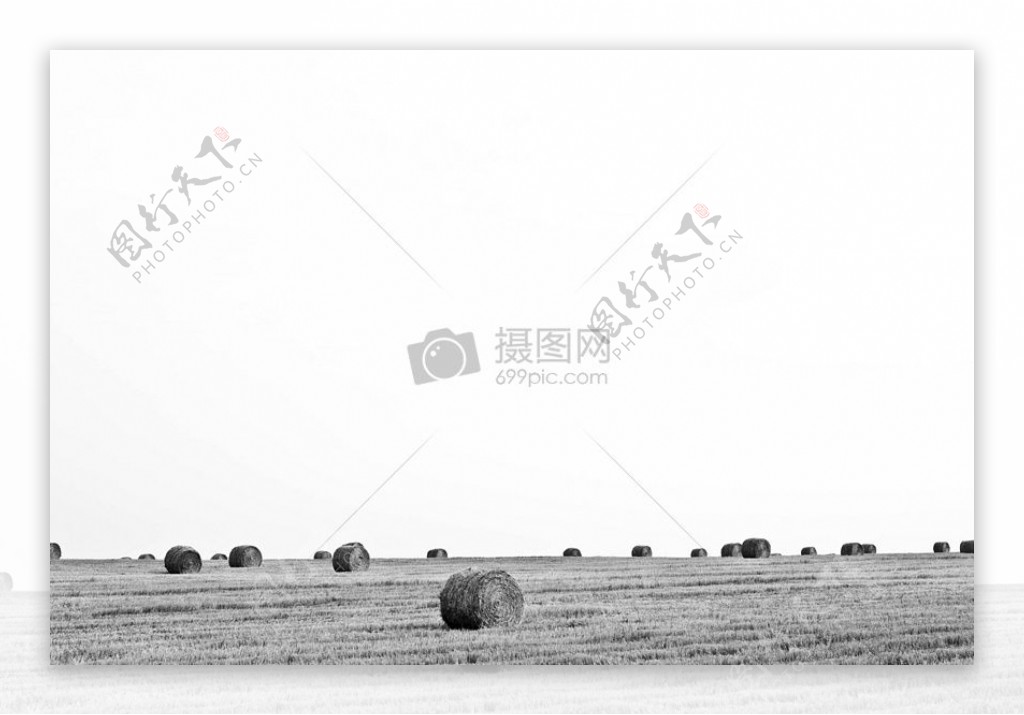 黑与白自然天空场农业收获养殖干草包稻草皇室成员自由图像